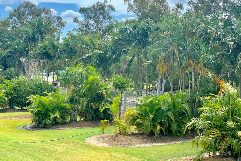 Semi Private unpowered camp sites at Brisbane Holiday Village