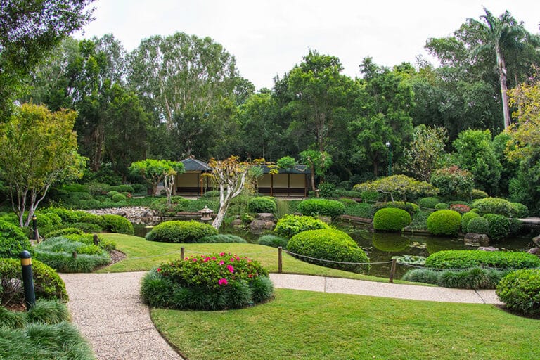 Mount Coot‑tha Botanic Gardens, Japan Cultural Festival - things to do in Brisbane in August
